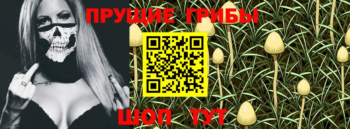 Благодарный  Галлюциногенные грибы Psilocybine cubensis  Вход с VPN 
