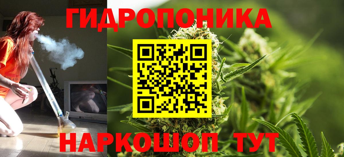 Шишки марихуана OG Kush Благодарный